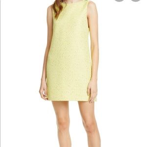 NWT! Alice and Olivia shift dress